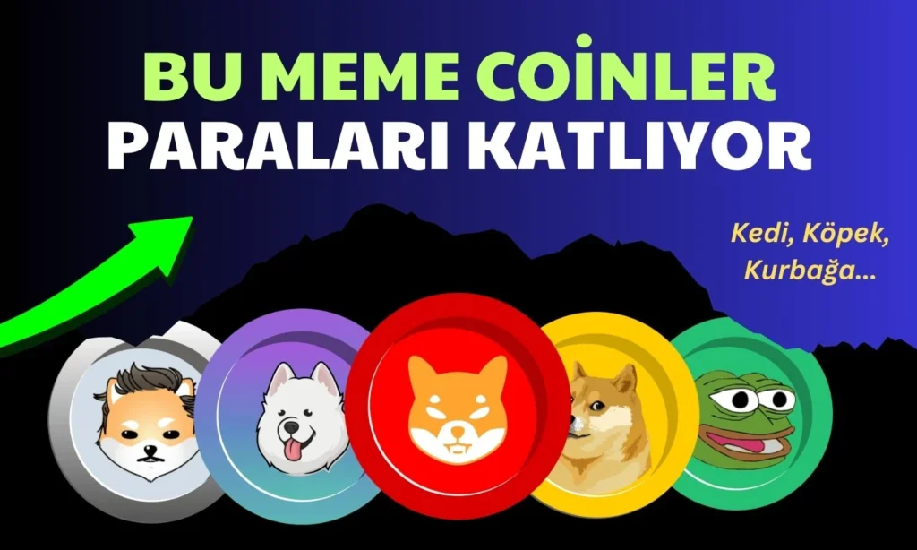 2024 Yılının En İyi Meme Coinleri